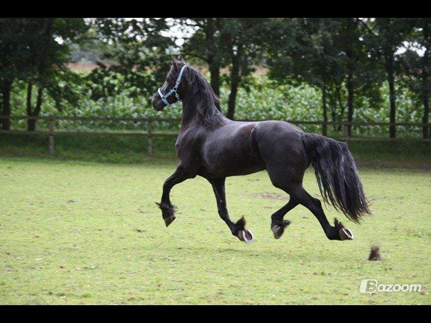 Frieser Doutzen . - I belive i can fly .. billede 7