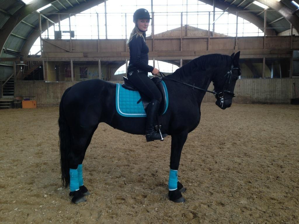 Frieser Tonia billede 20