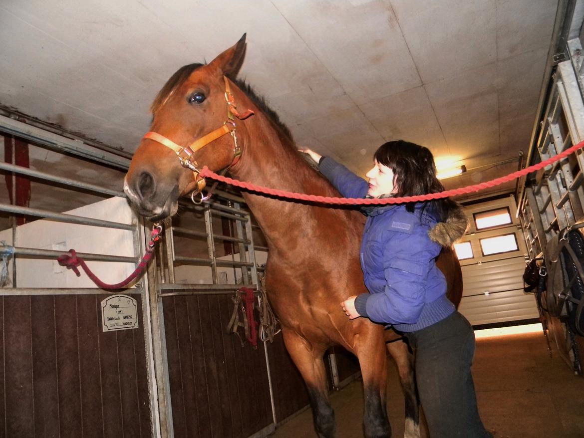 Anden særlig race Dakota - Kota fandt ud af at gnupperen ikke er farlig, men faktisk ret lexi. :P - Foto: Bodil billede 22