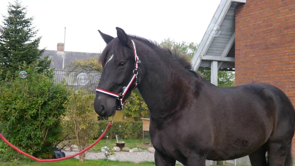 Anden særlig race Thass*my star*my life*!<3 - Gamle kigger på sæbebobler <3 :D billede 7