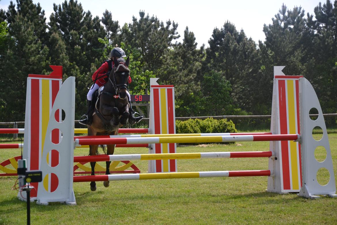 Anden særlig race Mestery Man billede 7