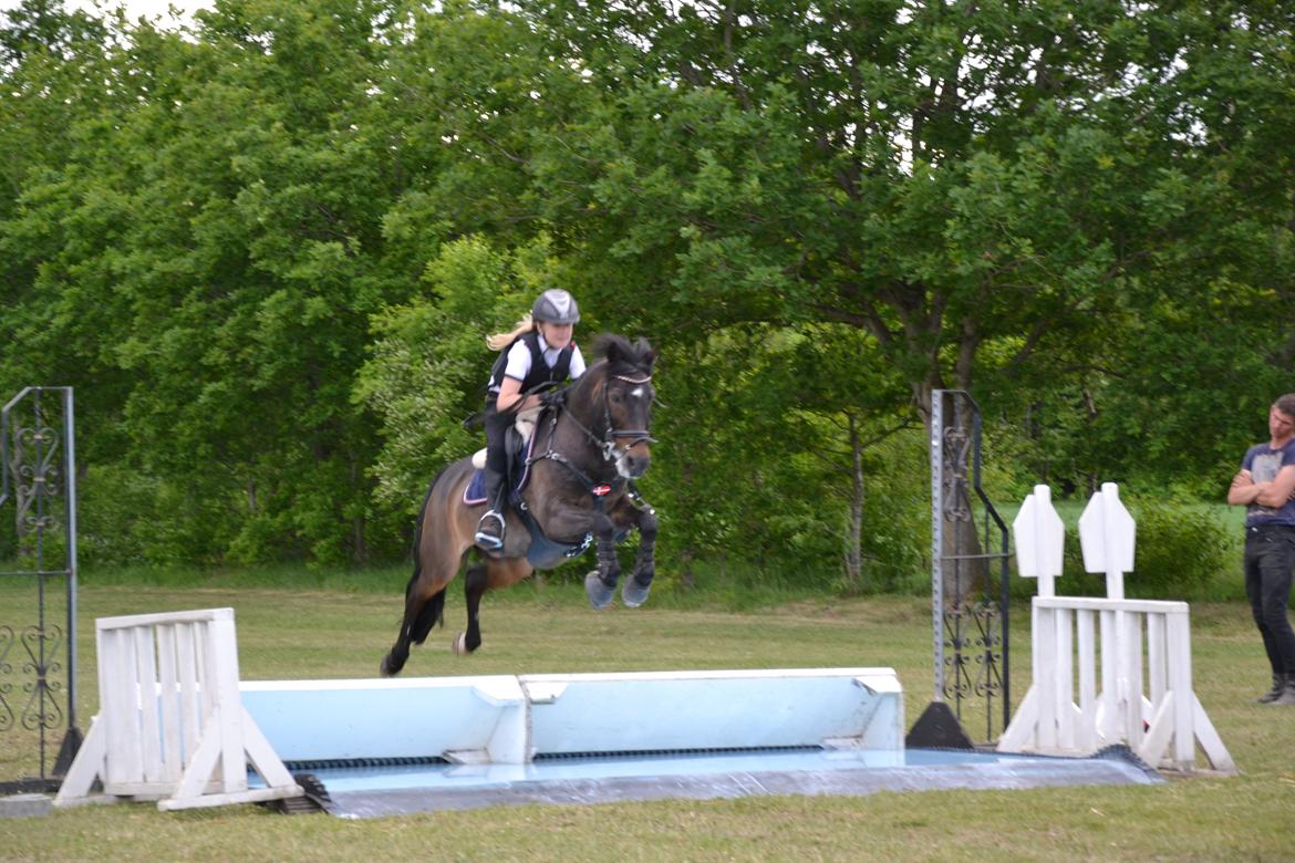 Anden særlig race Mestery Man billede 8