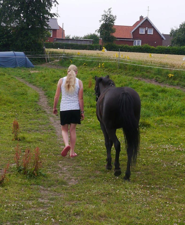 Anden særlig race Black Beauty / Thowra*I<3Y* - Anywhere you are, i am near,
 Anywhere you go i´ll be there,
I know an engel is her on earth, 
just for mee, 
And i standing rigth beside him <3 billede 2