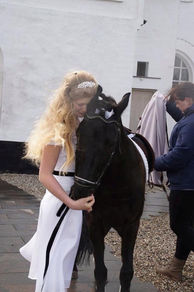 Anden særlig race Black Beauty / Thowra*I<3Y* - da han kom op til kirken, til min konfirmation! :') gud hvor var jeg glad! <3 billede 8