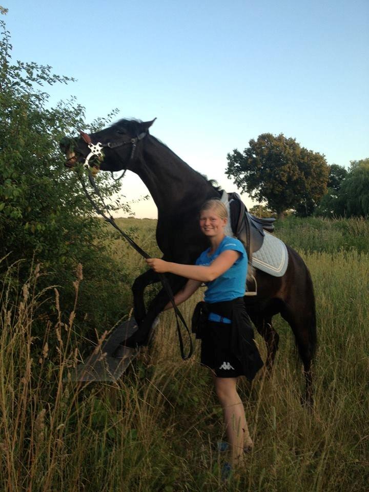 Anden særlig race Black Beauty / Thowra*I<3Y* - Stå på bænken <3 men ikke uden at tage en bid af træet :'D <3 billede 17