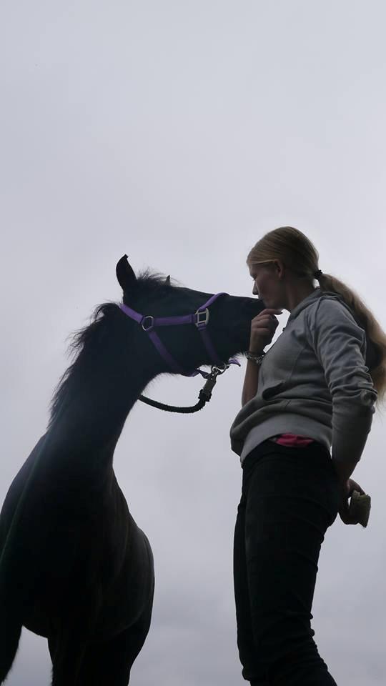 Anden særlig race Black Beauty / Thowra*I<3Y* - some people search forever
 for that one special kiss  <3 billede 4