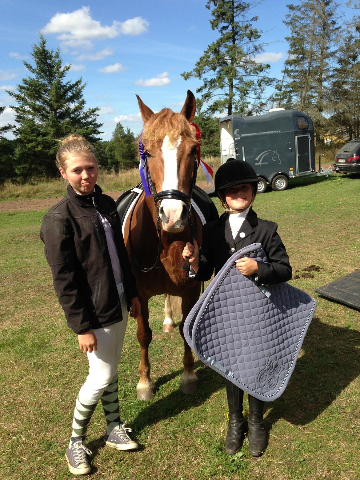 Welsh Partbred (Sec F) Wissinggaards stitch - Min skat var så god<3<3 billede 6