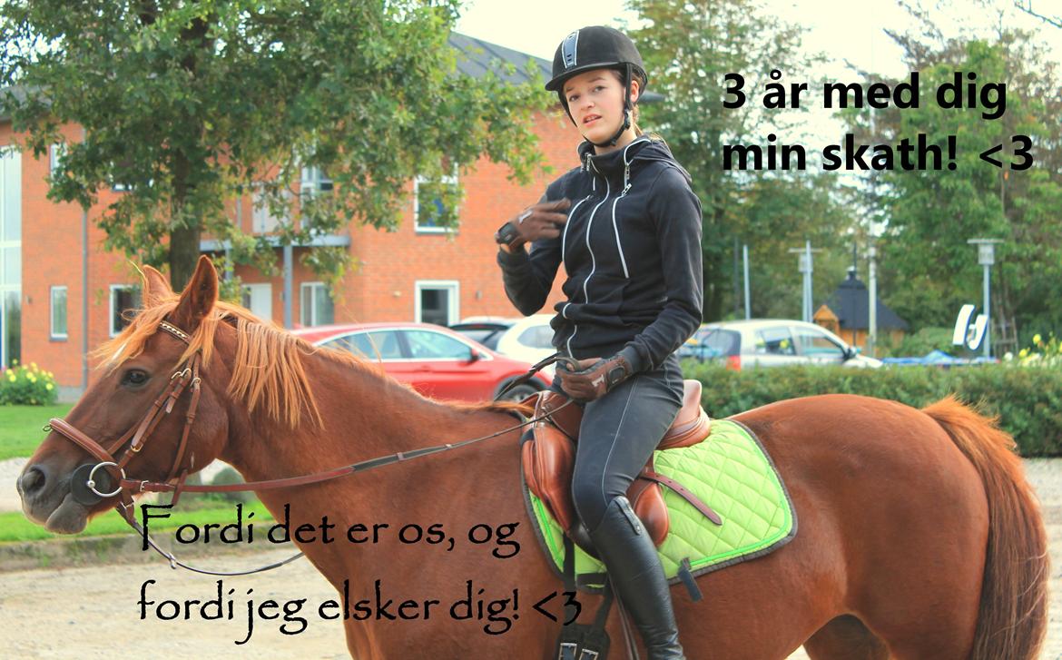 Anden særlig race Ponygården's Megara - 24/9! <3 Når vi er sammen er det sku lige meget, hvordan vi ser ud! <3 :-* billede 16