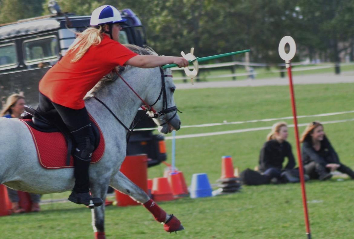 DSP Linette // Lynette - DM par 2013 - 1 plads i C-finalen! :-) billede 29