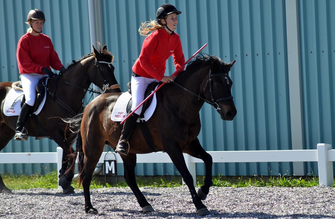 New Forest Sandagers Sir Giant // Sputnik - Camilla og Sputnik rider ponygames opvisning til åbent hus i rideklubben. :-) billede 8