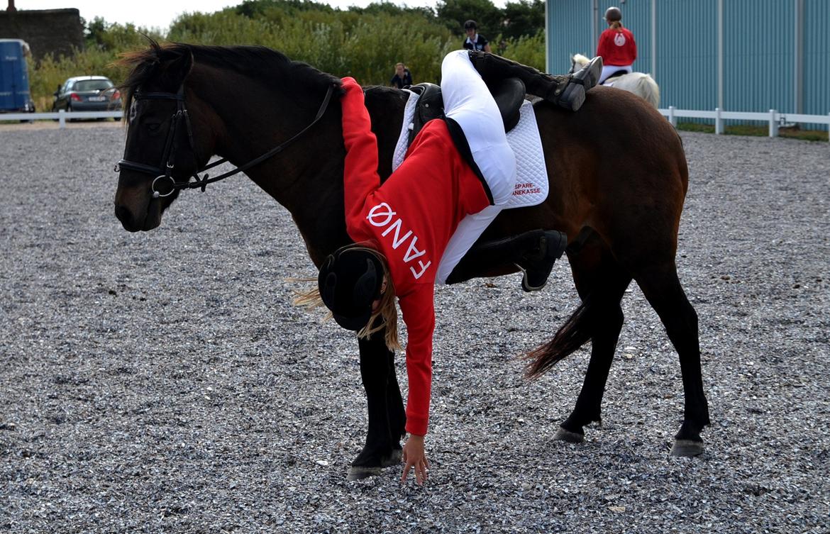 New Forest Sandagers Sir Giant // Sputnik - Camilla og Sputnik til ponygames opvisning til åbent hus i rideklubben. :-) billede 12