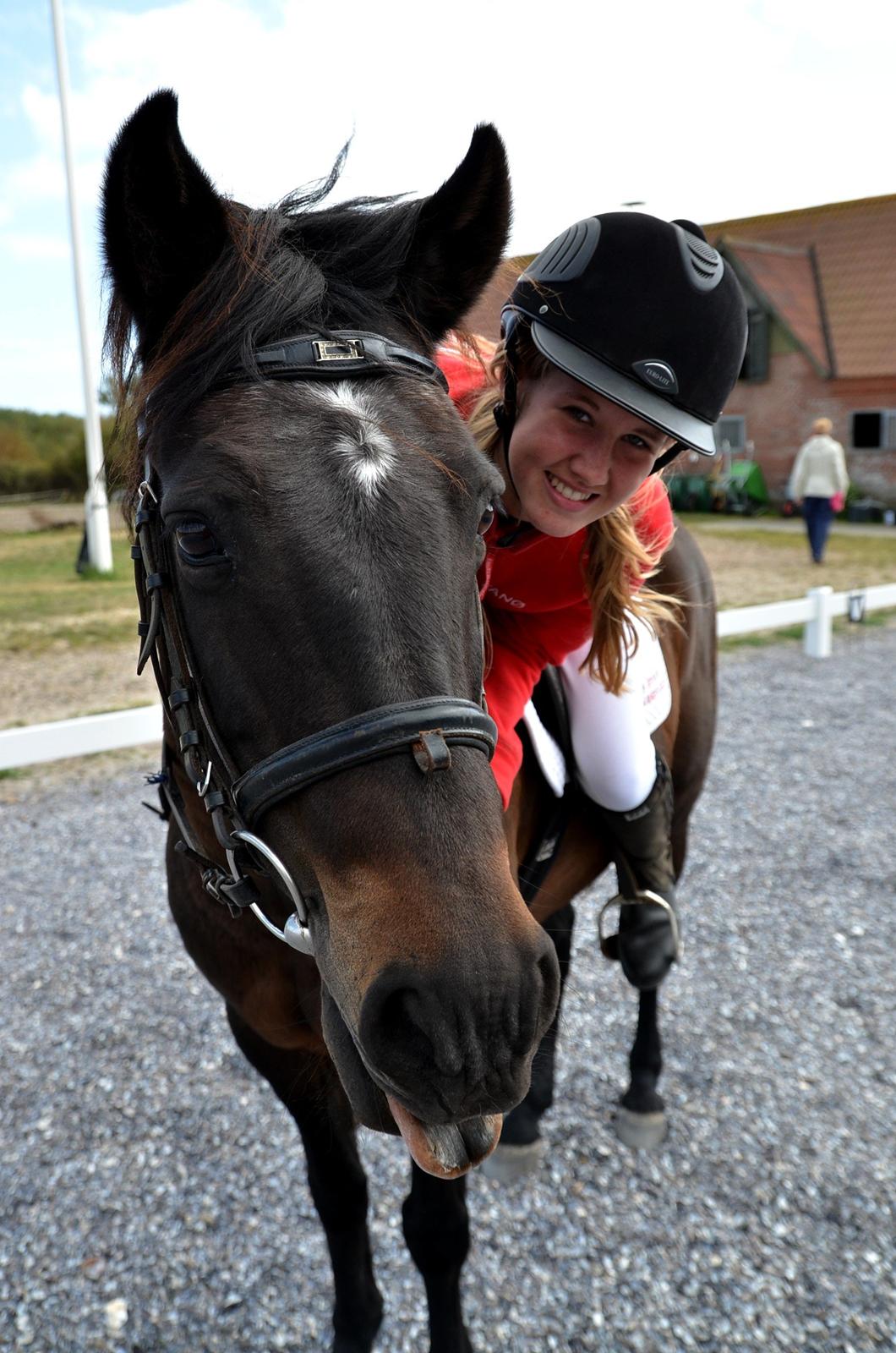 New Forest Sandagers Sir Giant // Sputnik - Camilla og Sputnik rider ponygames opvisning til åbent hus i rideklubben. :-) billede 4
