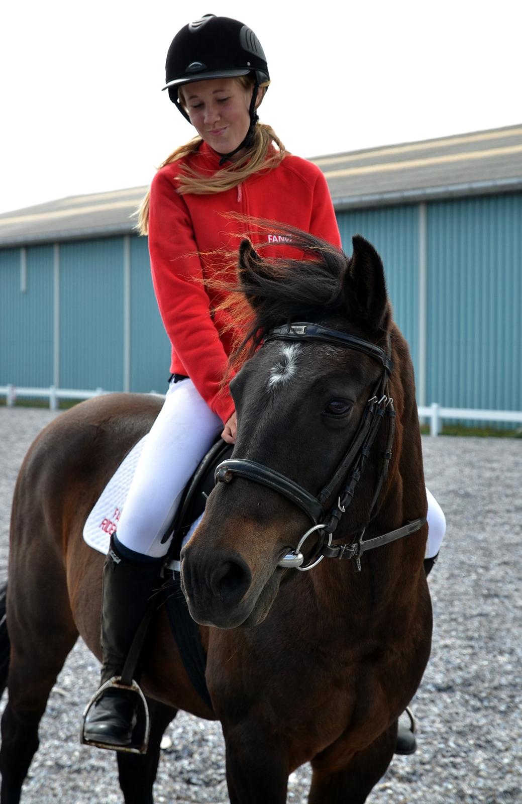 New Forest Sandagers Sir Giant // Sputnik - Camilla og Sputnik rider ponygames opvisning til åbent hus i rideklubben. :-) billede 24