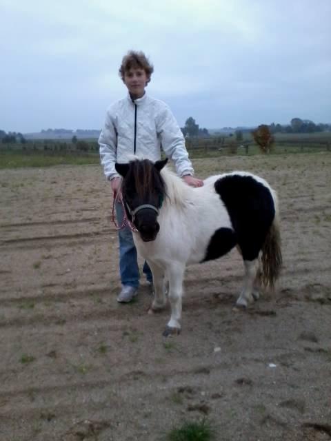 Anden særlig race Victoria - Daniel trækker tur med Victoria.. billede 10