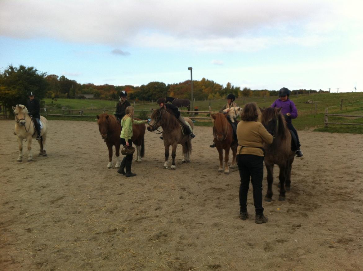 Islænder Blettur fra Tjenergården - Vi kom på en 2. plads med 68% billede 17