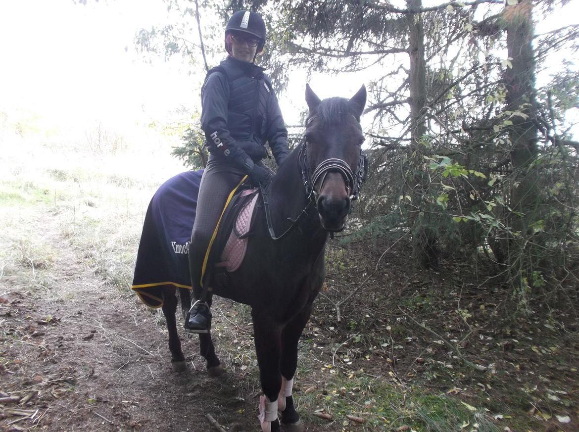 DSP Ronja billede 29