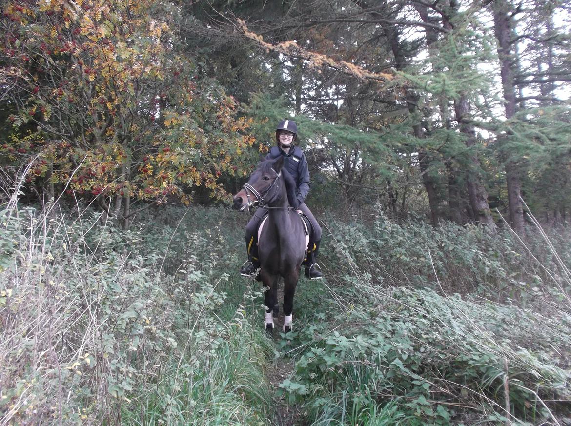 DSP Ronja billede 20