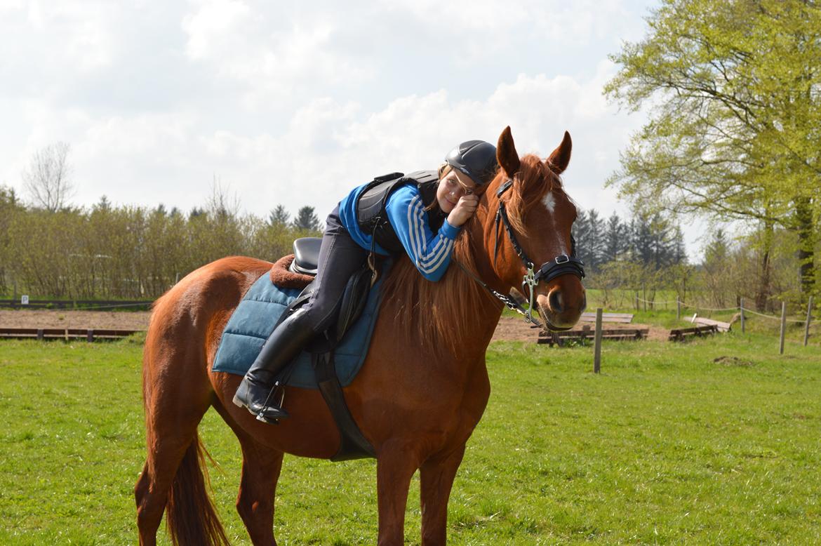 Anden særlig race Moon Fighter billede 3