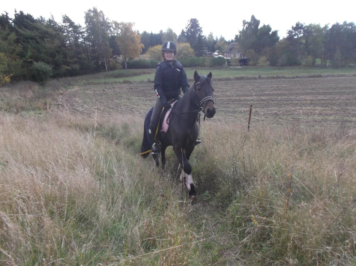 DSP Ronja billede 10