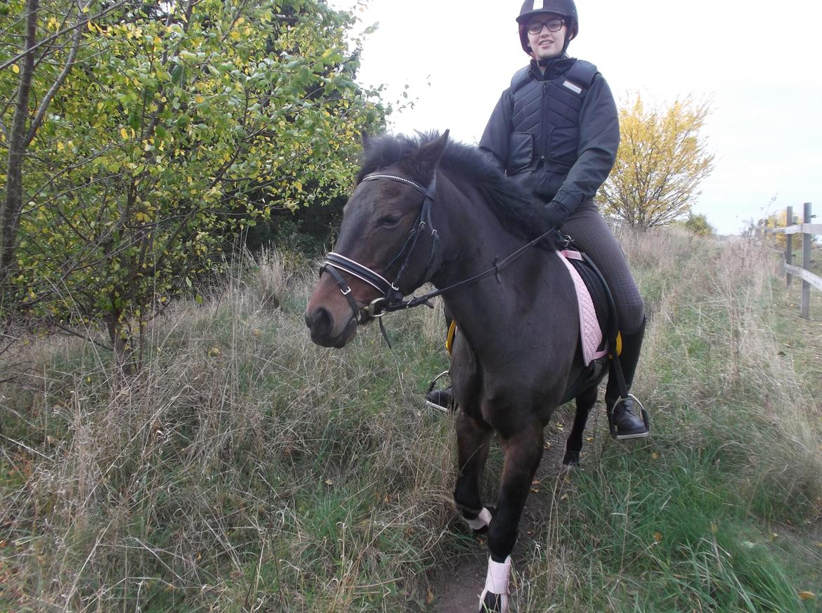 DSP Ronja billede 26