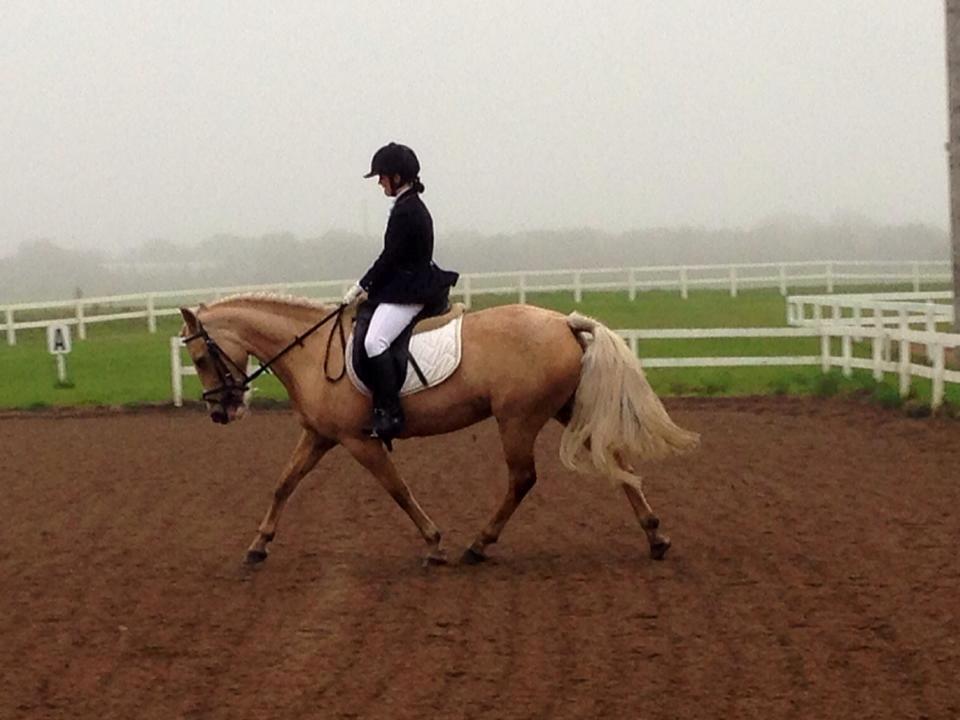 Anden særlig race Fenja billede 4