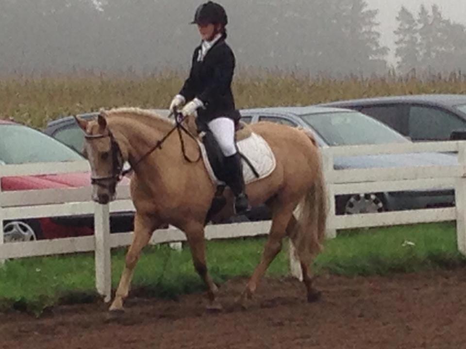 Anden særlig race Fenja billede 8