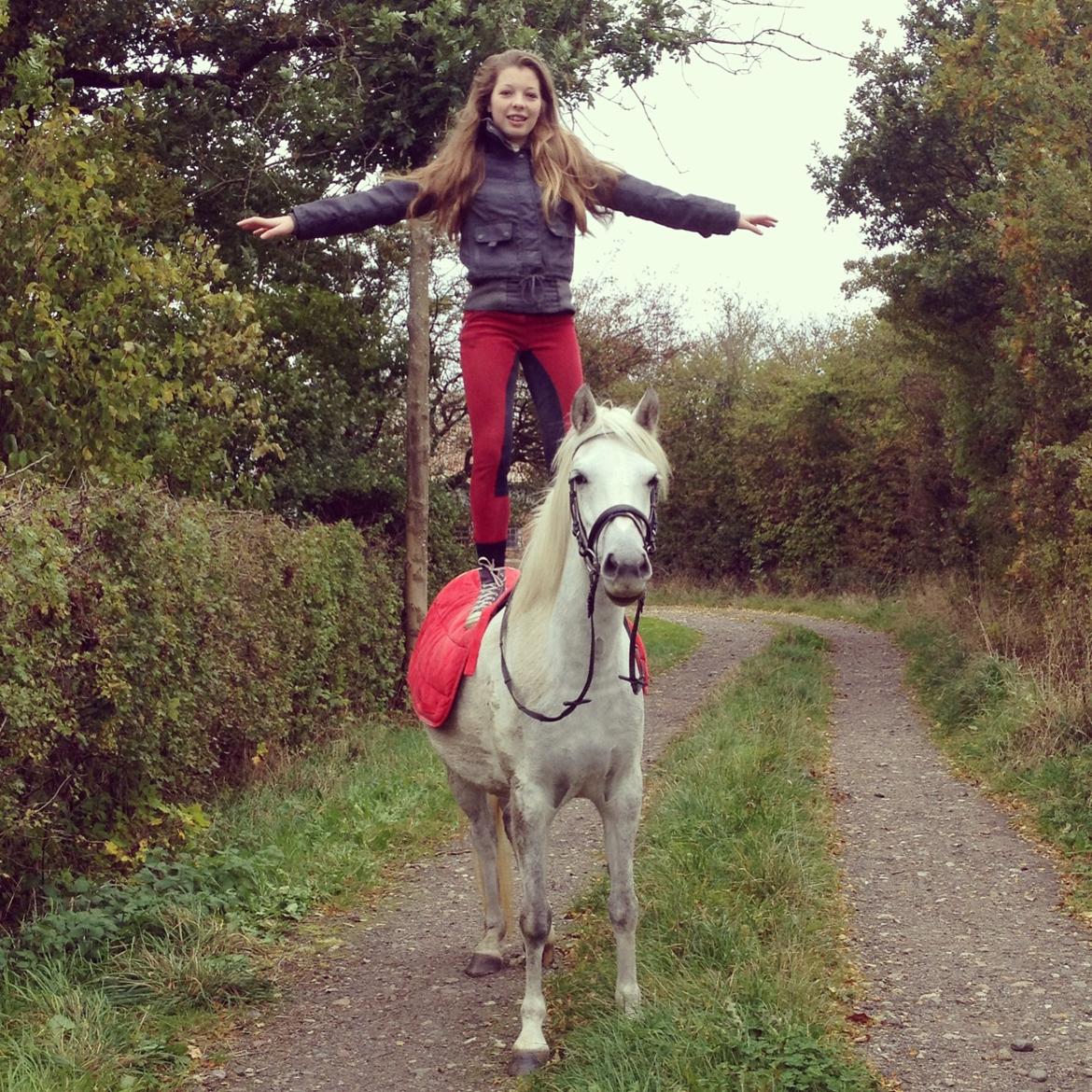 Welsh Partbred (Sec F) Klintholms Miss Shania - Et par timer inden Shania blev hentet.  billede 18