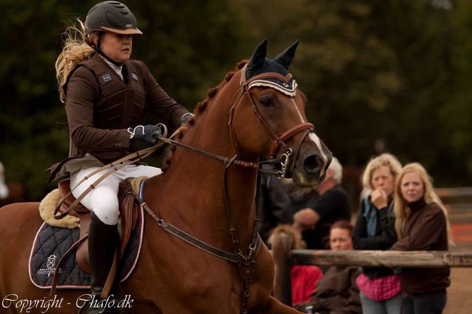 Holstener Le Poul billede 4