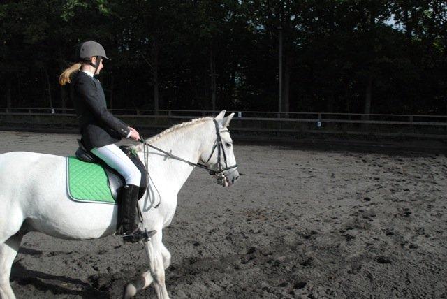 Connemara Flash Point - Stævne på LRK 28.09.13 billede 14