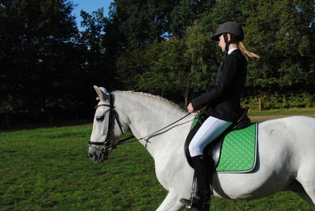 Connemara Flash Point - Stævne på LRK 28.09.13
opvarmning
 billede 16