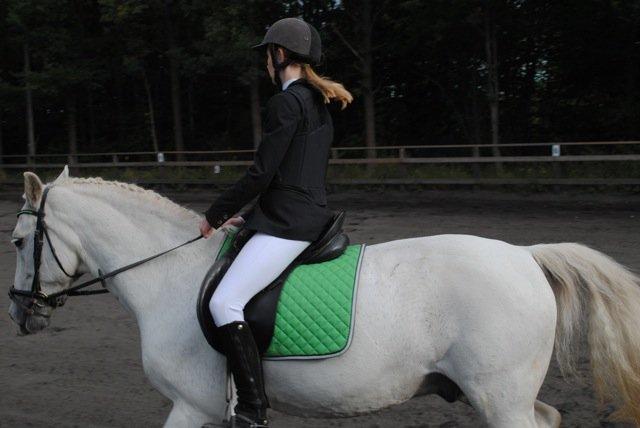 Connemara Flash Point - Stævne på LRK 28.09.13 billede 17