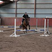 Anden særlig race hands up ( kalle )