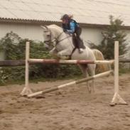 Anden særlig race Nanuska