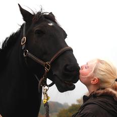 Anden særlig race Miro
