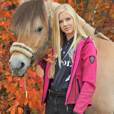 Fjordhest Viktor Vårby *Guldklumpen*