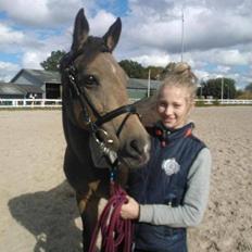 Irsk Sportspony Tullibards Honeydrum