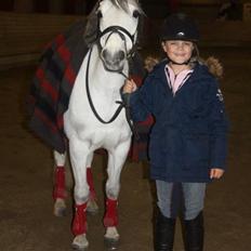 Welsh Pony (sec B) Korreborgs Sanitto