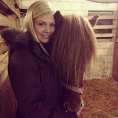 Islænder Funi fra Rosenlund