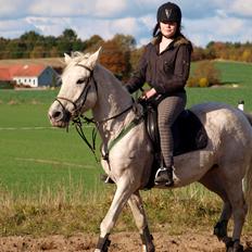 Anden særlig race Rain