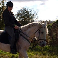 Anden særlig race Rain