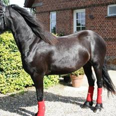 Frieser Kamira faw Dean