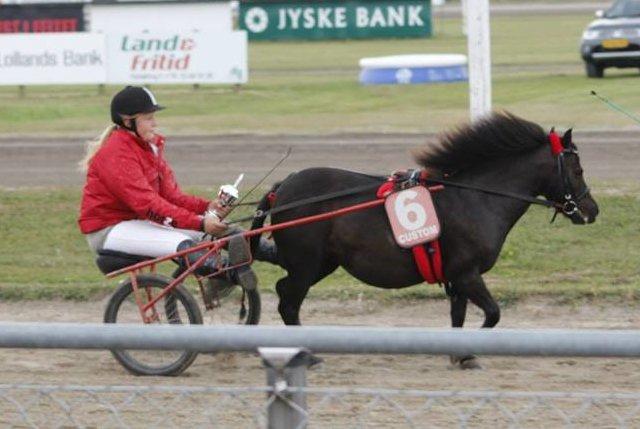 Shetlænder Mille **DenBedsteEver** - Dm på Lolland
(jeg har sikkerhedsvest på) billede 6