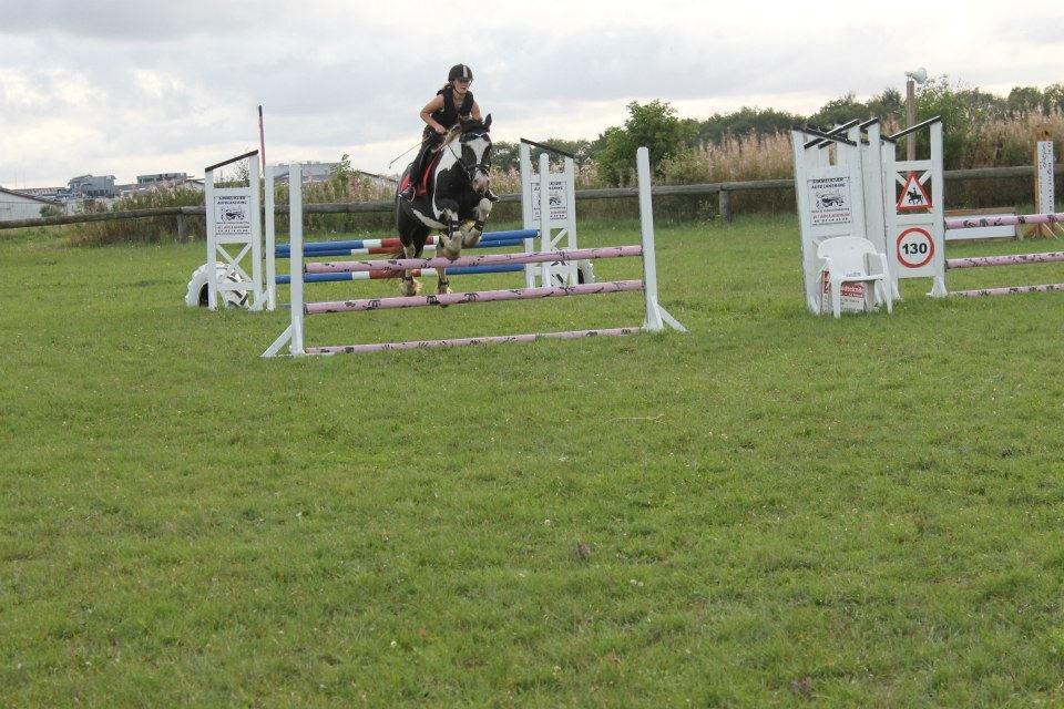 Anden særlig race Onyx - Foto: Nyborg Photography billede 11