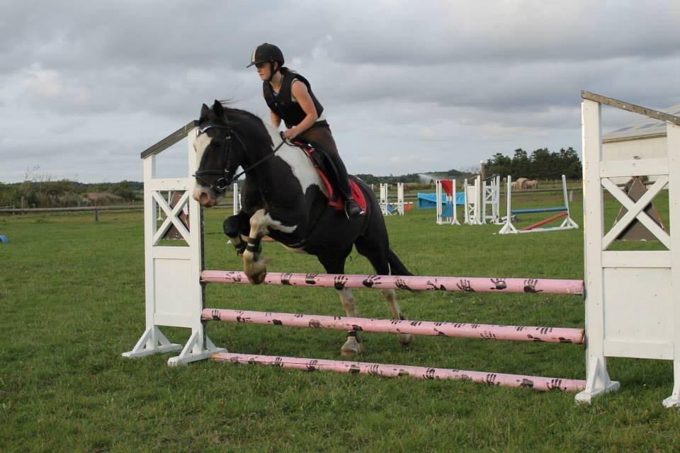 Anden særlig race Onyx - Foto:Nyborg Photography billede 12