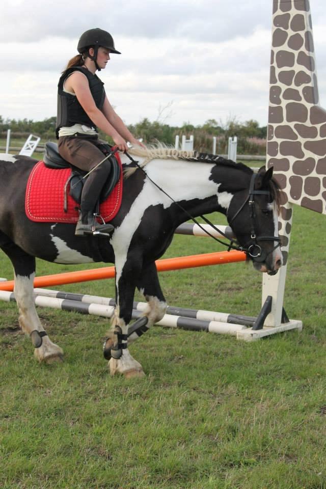 Anden særlig race Onyx - Foto:Nyborg Photography billede 13