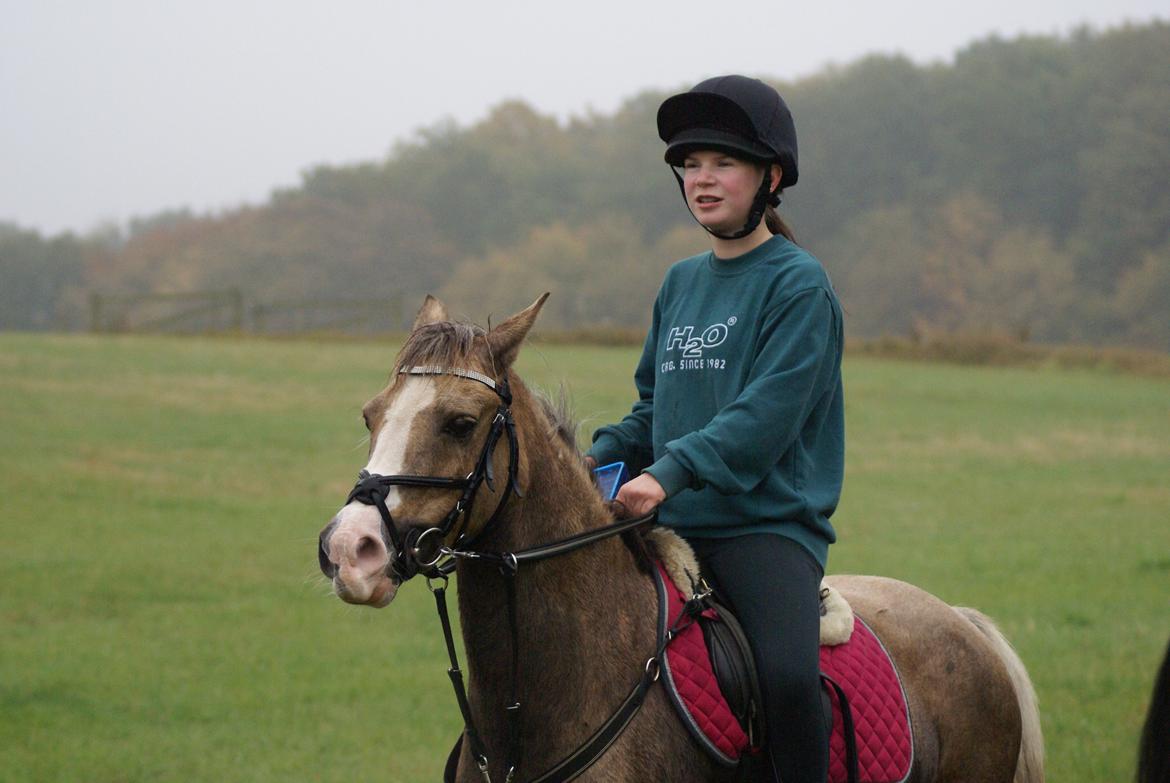 Hollandsk Sportspony Silvera - Første par træning med Naja - Oktober 2013 billede 9