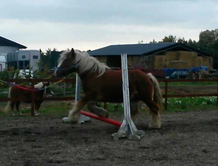 Jyde Josephine billede 10