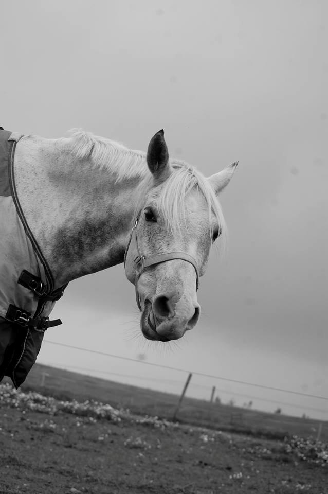 DSP Remember Me Af Sandager - Et af de aller første billeder.<3 billede 30