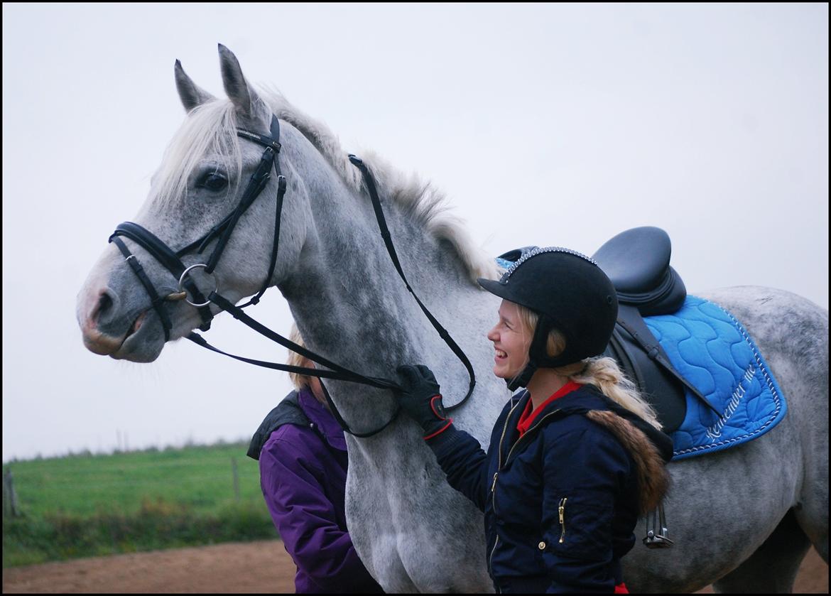 DSP Remember Me Af Sandager - Første gang på banen her hjemme billede 34
