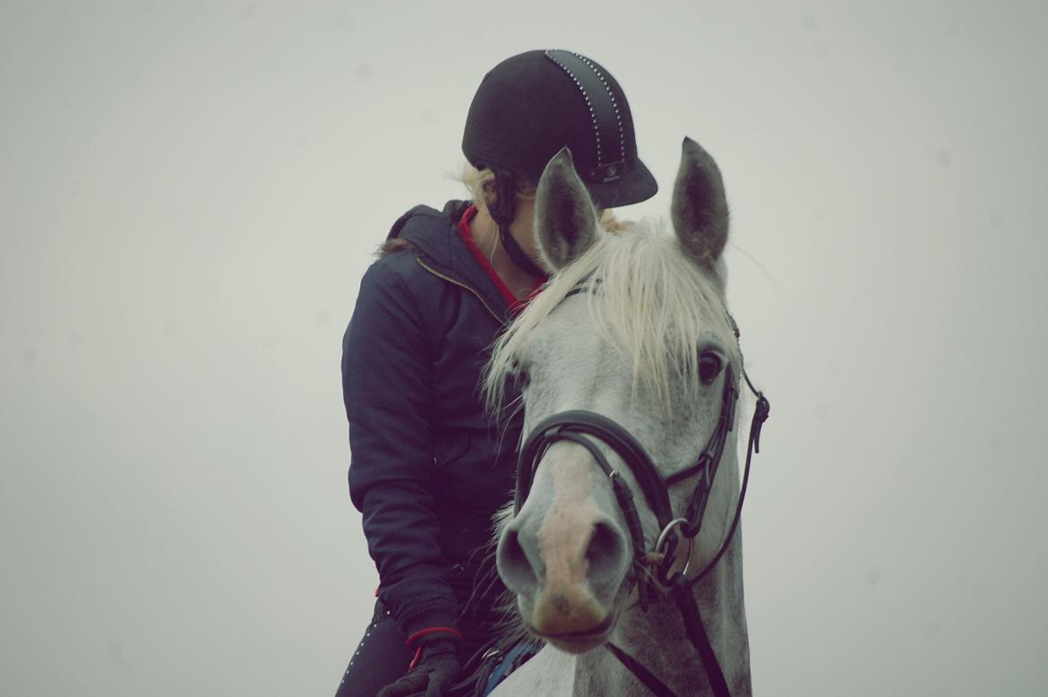 DSP Remember Me Af Sandager - Lillefyr <3.  billede 32